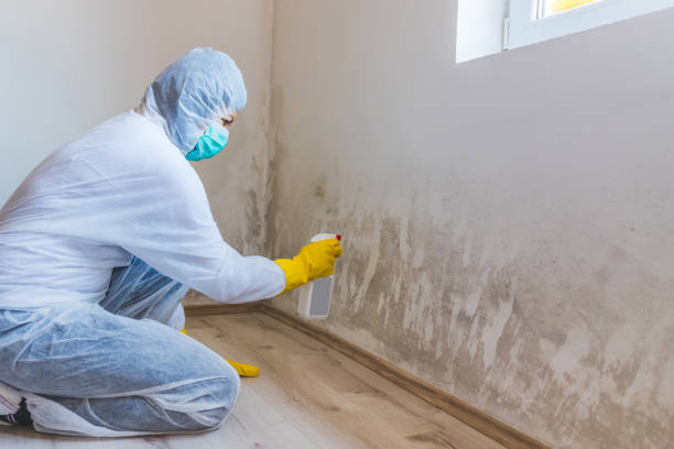 Mold inspector in Kenvil performing thermal imaging